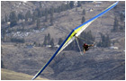 North Wing Freedom 2 Hang Glider