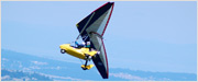 Click here to see an enlargement of the Scout XC Apache