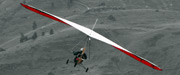 Click here to see an enlargement of the Stratus XP Wing